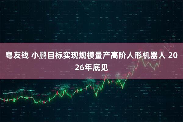 粤友钱 小鹏目标实现规模量产高阶人形机器人 2026年底见