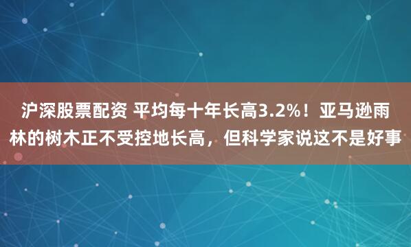 沪深股票配资 平均每十年长高3.2%！亚马逊雨林的树木正不受控地长高，但科学家说这不是好事