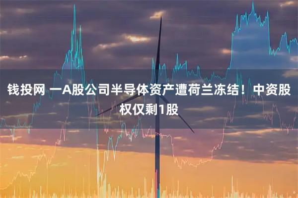 钱投网 一A股公司半导体资产遭荷兰冻结！中资股权仅剩1股