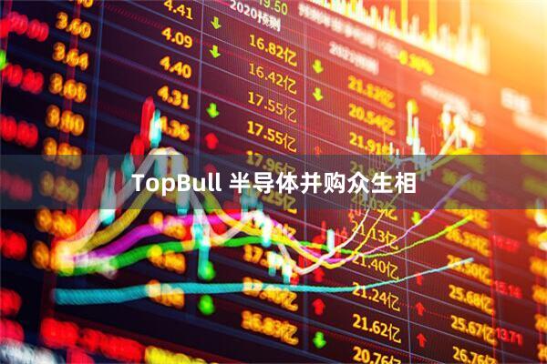 TopBull 半导体并购众生相